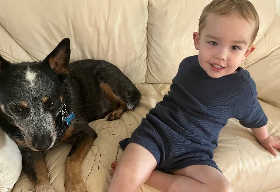 A young boy sitting on a couch next to a dog